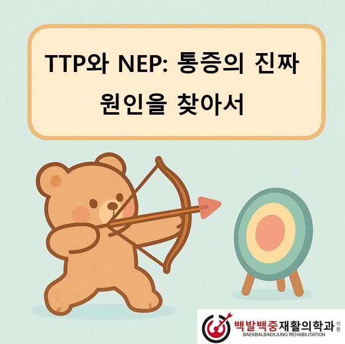 TTP와 NEP: 통증의 진짜 원인을 찾아서