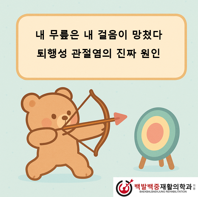 내 무릎은 내 걸음이 망쳤다 — 퇴행성 관절염의 진짜 원인