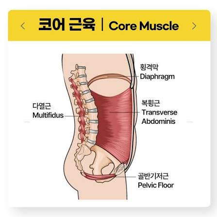 목·허리 통증, 운동보다 먼저 호흡부터 바꿔보세요!